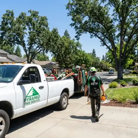 Tree service truck on a residential job