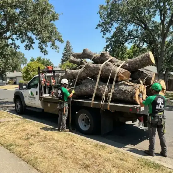 Tree service truck on a residential street